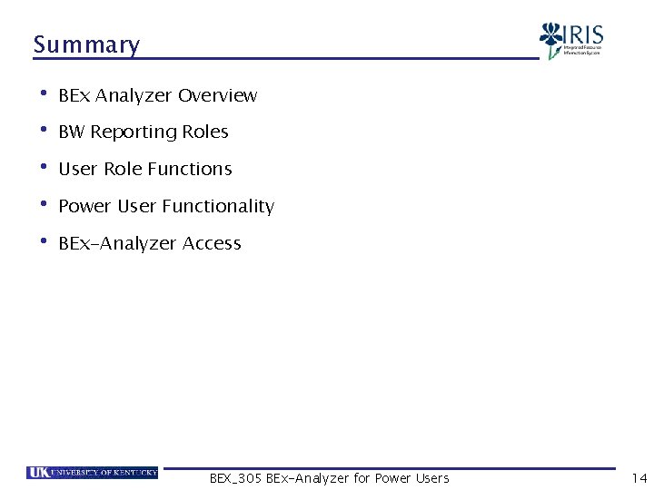 Summary • BEx Analyzer Overview • BW Reporting Roles • User Role Functions •