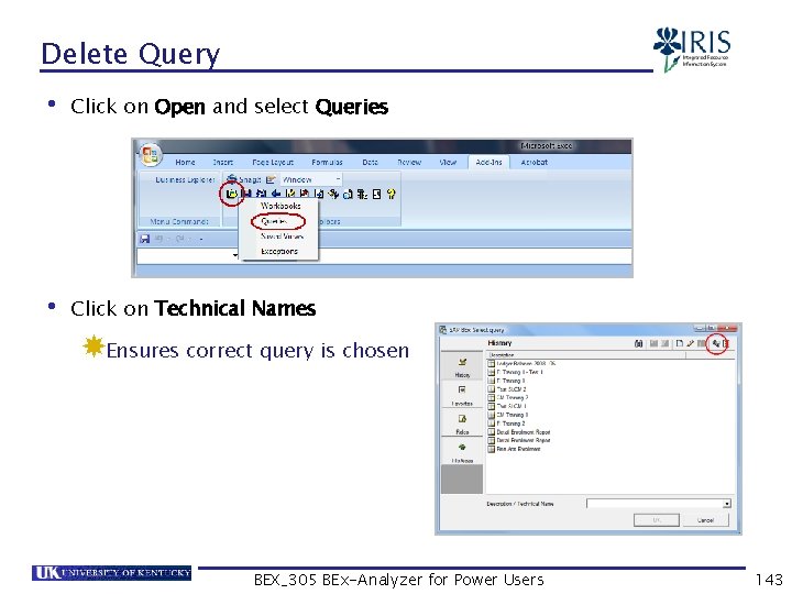 Delete Query • Click on Open and select Queries • Click on Technical Names