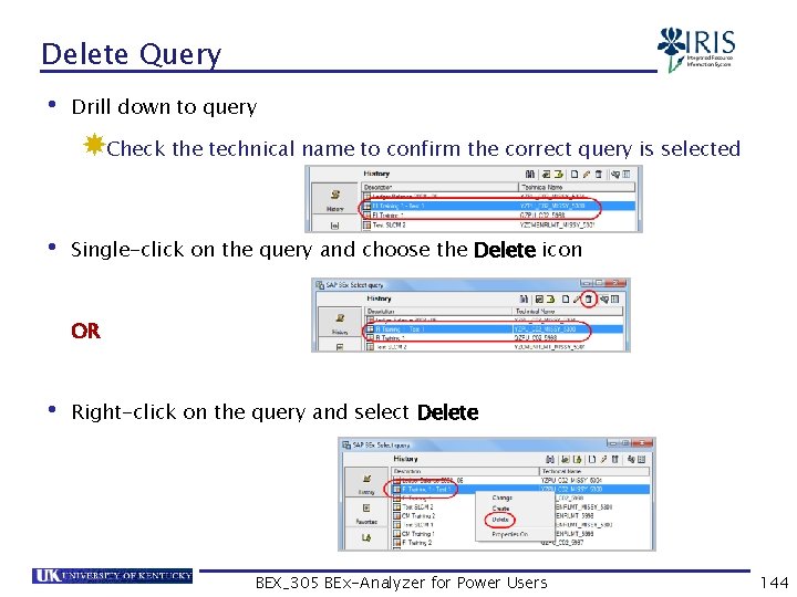 Delete Query • Drill down to query Check the technical name to confirm the