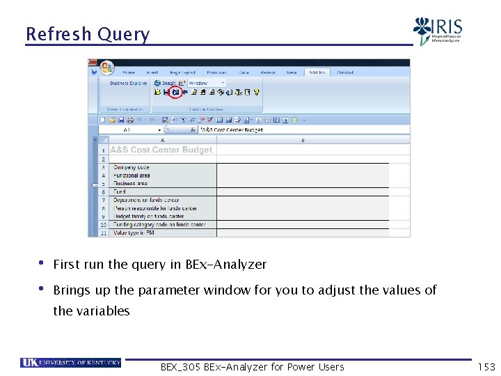 Refresh Query • First run the query in BEx-Analyzer • Brings up the parameter