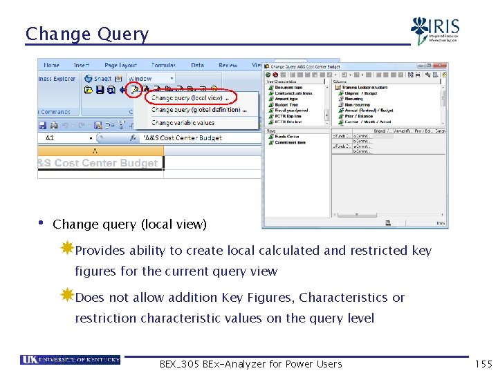 Change Query • Change query (local view) Provides ability to create local calculated and