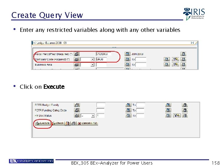 Create Query View • Enter any restricted variables along with any other variables •