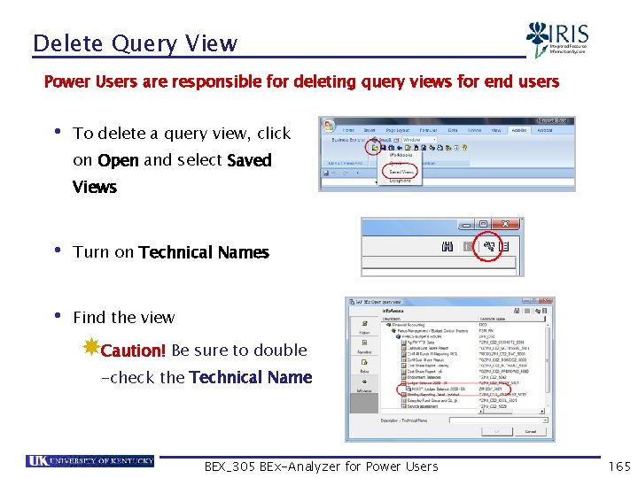 Delete Query View Power Users are responsible for deleting query views for end users