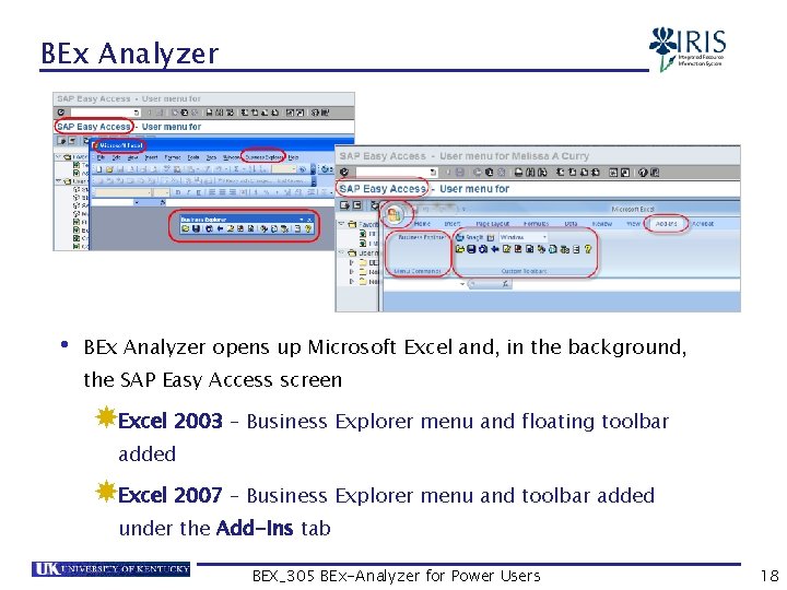 BEx Analyzer • BEx Analyzer opens up Microsoft Excel and, in the background, the
