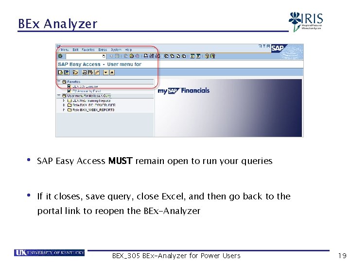 BEx Analyzer • SAP Easy Access MUST remain open to run your queries •