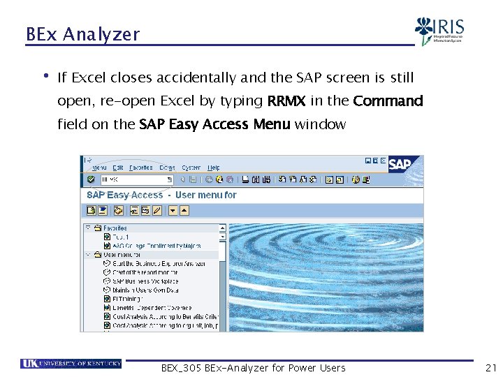 BEx Analyzer • If Excel closes accidentally and the SAP screen is still open,
