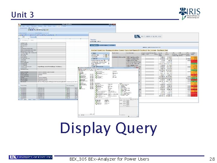 Unit 3 Display Query BEX_305 BEx-Analyzer for Power Users 28 