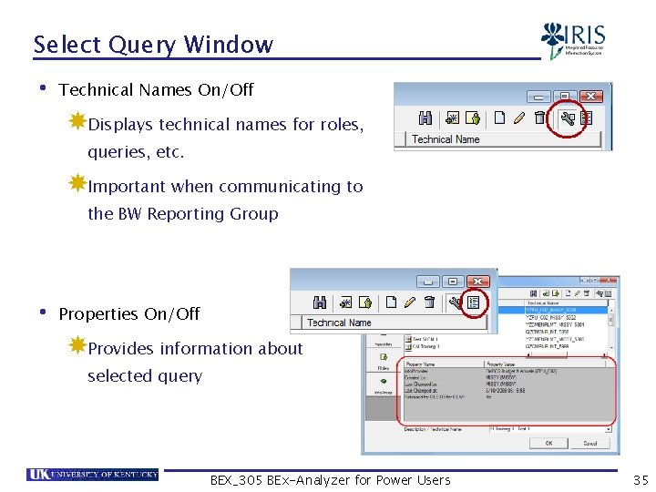 Select Query Window • Technical Names On/Off Displays technical names for roles, queries, etc.