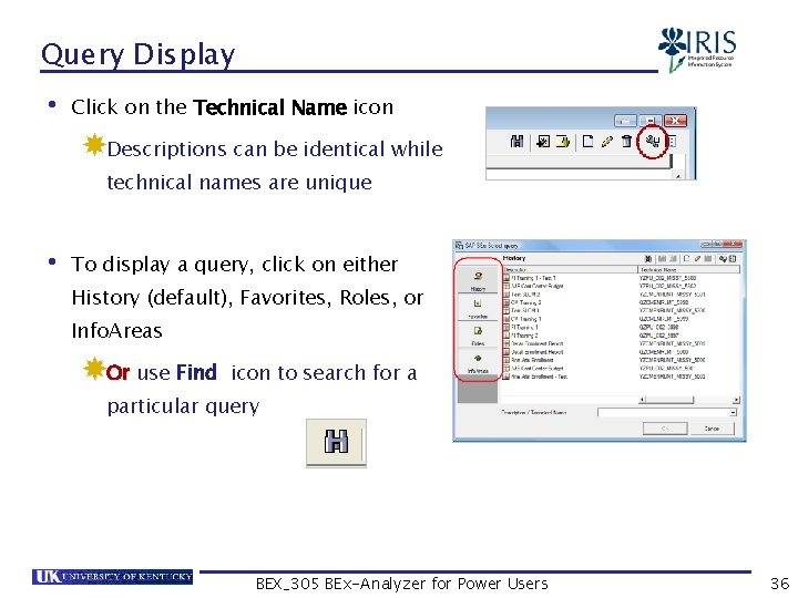Query Display • Click on the Technical Name icon Descriptions can be identical while