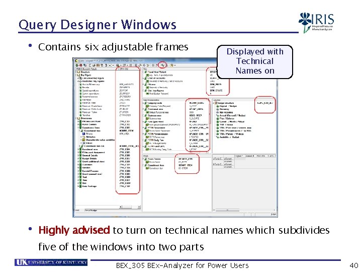 Query Designer Windows • Contains six adjustable frames Displayed with Technical Names on •