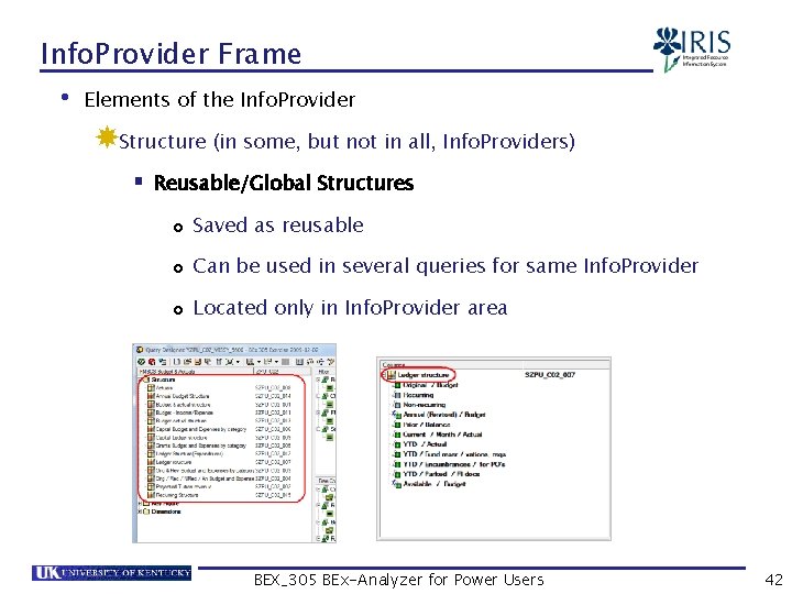 Info. Provider Frame • Elements of the Info. Provider Structure (in some, but not