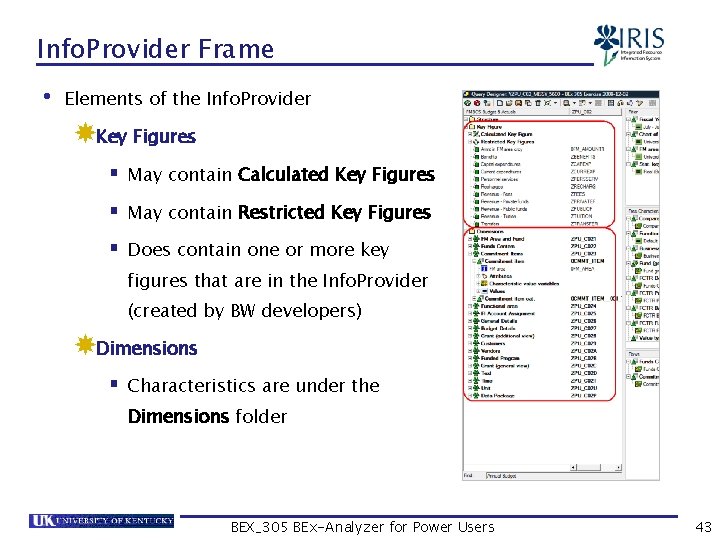 Info. Provider Frame • Elements of the Info. Provider Key Figures § May contain