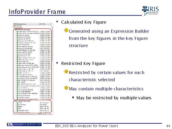 Info. Provider Frame • Calculated Key Figure Generated using an Expression Builder from the