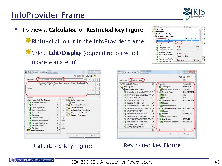 Info. Provider Frame • To view a Calculated or Restricted Key Figure Right-click on