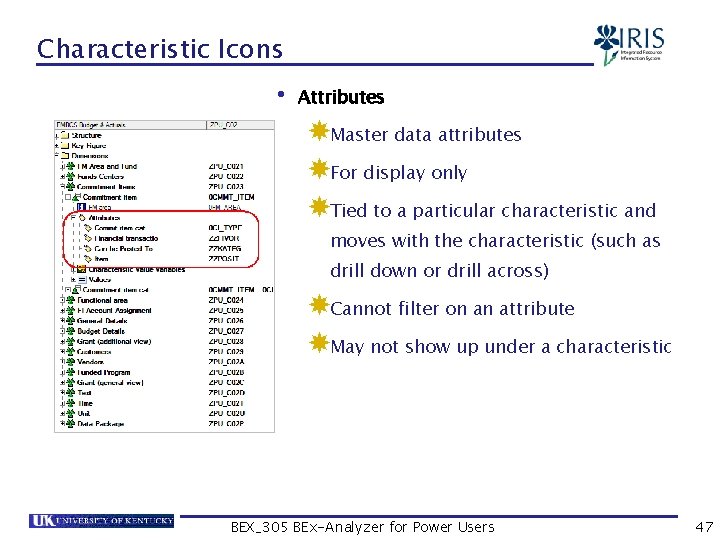 Characteristic Icons • Attributes Master data attributes For display only Tied to a particular