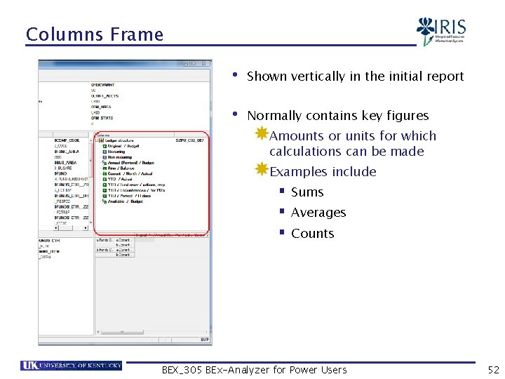 Columns Frame • Shown vertically in the initial report • Normally contains key figures