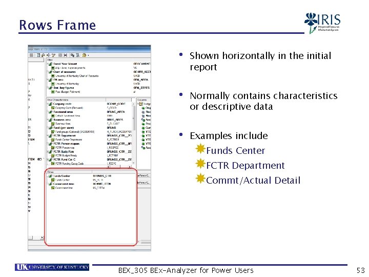 Rows Frame • Shown horizontally in the initial report • Normally contains characteristics or