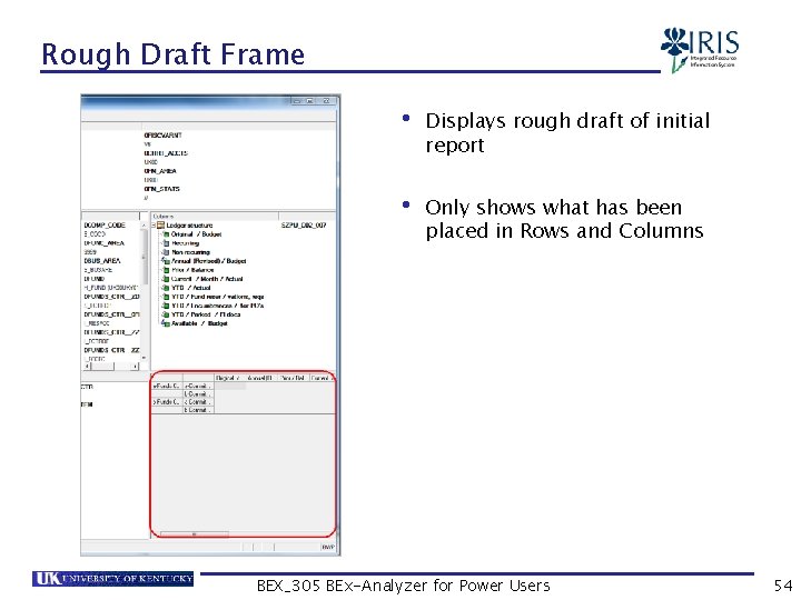 Rough Draft Frame • Displays rough draft of initial report • Only shows what
