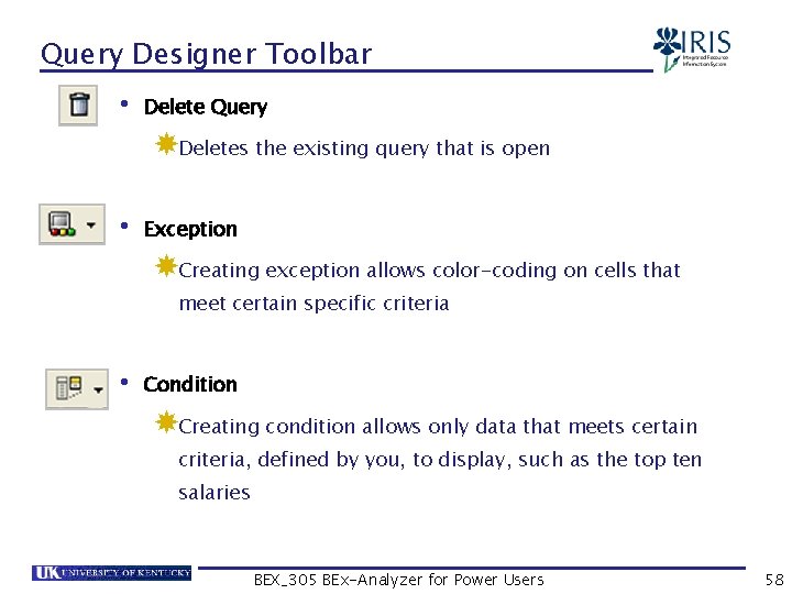 Query Designer Toolbar • Delete Query Deletes the existing query that is open •