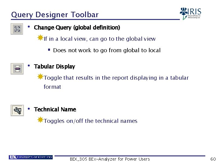 Query Designer Toolbar • Change Query (global definition) If in a local view, can