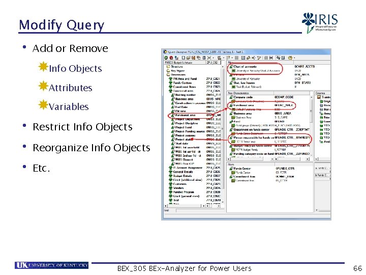 Modify Query • Add or Remove Info Objects Attributes Variables • Restrict Info Objects