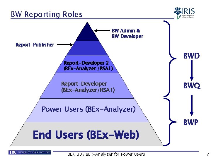 BW Reporting Roles BW Admin & BW Developer Report-Publisher Report-Developer 2 (BEx-Analyzer /RSA 1)