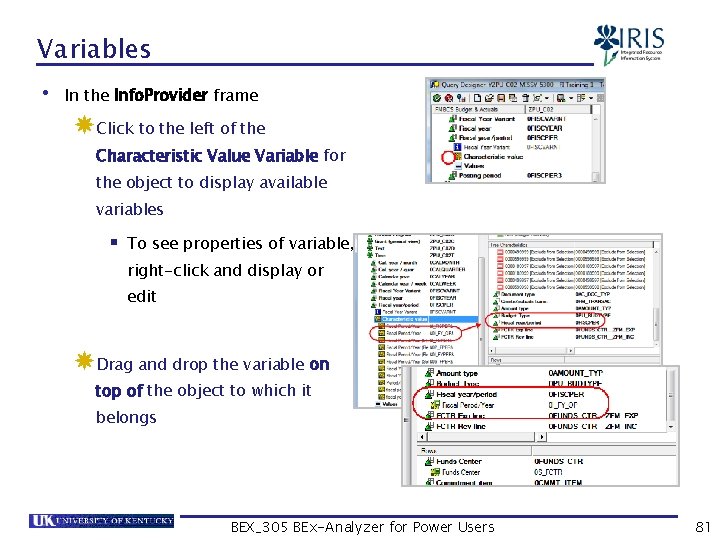 Variables • In the Info. Provider frame Click to the left of the Characteristic