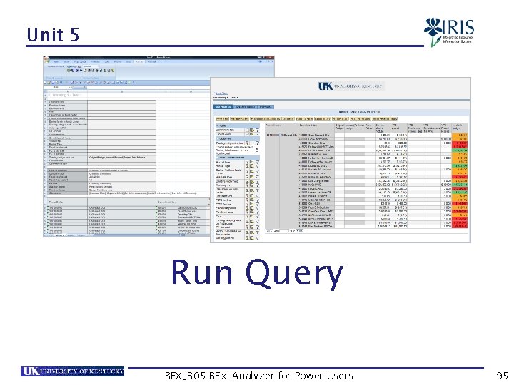 Unit 5 Run Query BEX_305 BEx-Analyzer for Power Users 95 