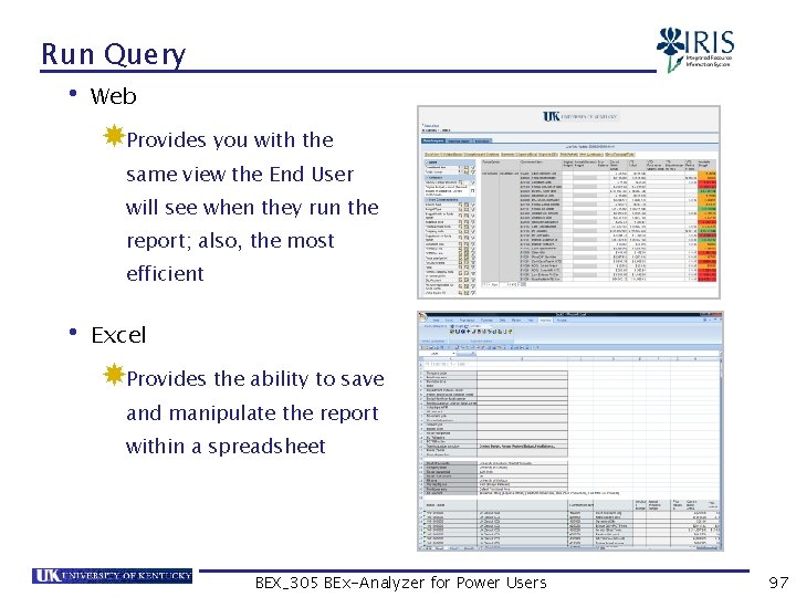 Run Query • Web Provides you with the same view the End User will