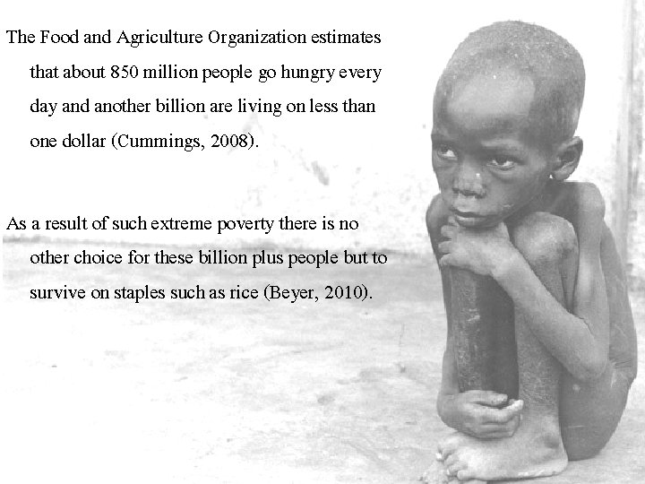 The Food and Agriculture Organization estimates that about 850 million people go hungry every