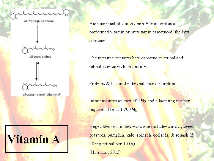 Humans must obtain vitamin A from diet as a preformed vitamin or provitamin carotenoid