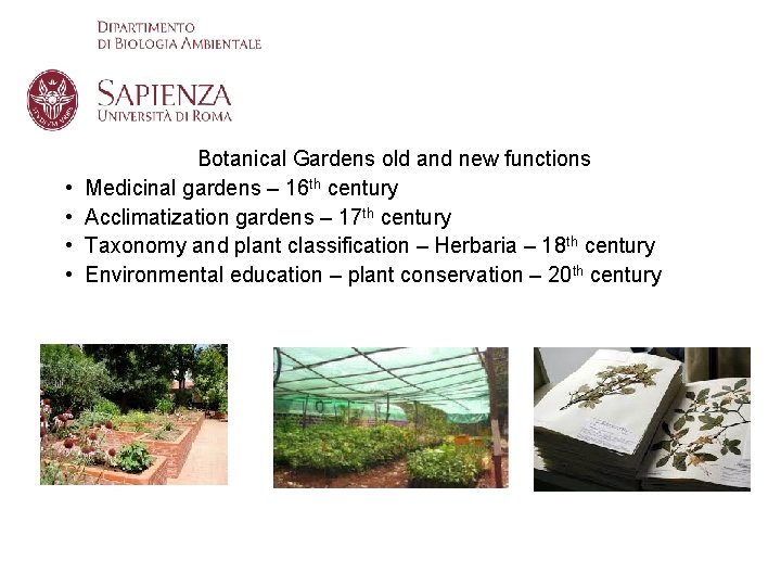  • • Botanical Gardens old and new functions Medicinal gardens – 16 th