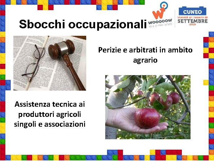 Sbocchi occupazionali Perizie e arbitrati in ambito agrario IMG Assistenza tecnica ai produttori agricoli