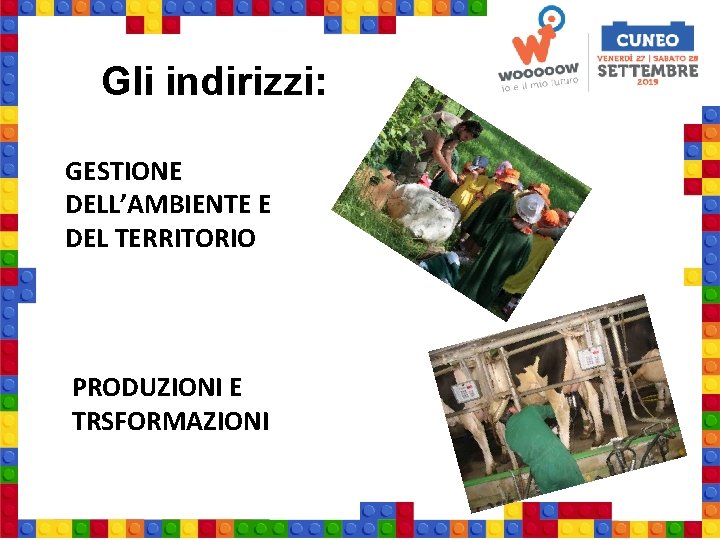 Gli indirizzi: GESTIONE DELL’AMBIENTE E DEL TERRITORIO PRODUZIONI E TRSFORMAZIONI IMG 