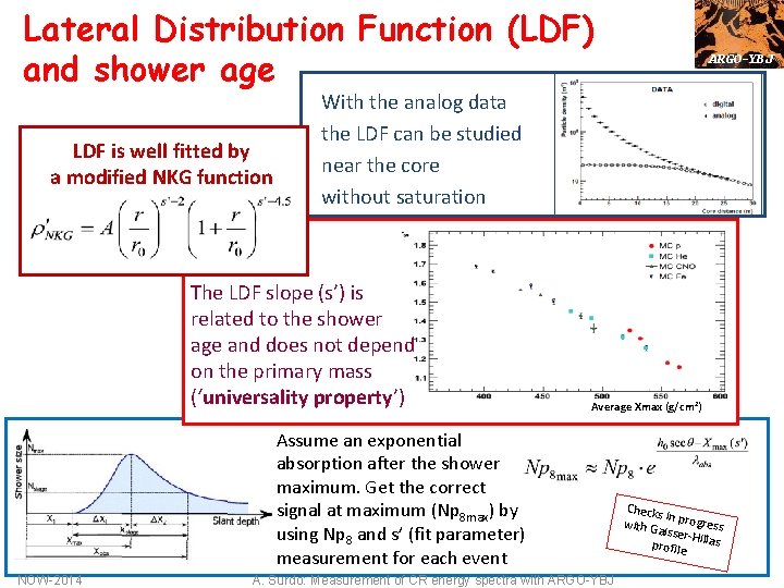 Lateral Distribution Function (LDF) and shower age LDF is well fitted by a modified