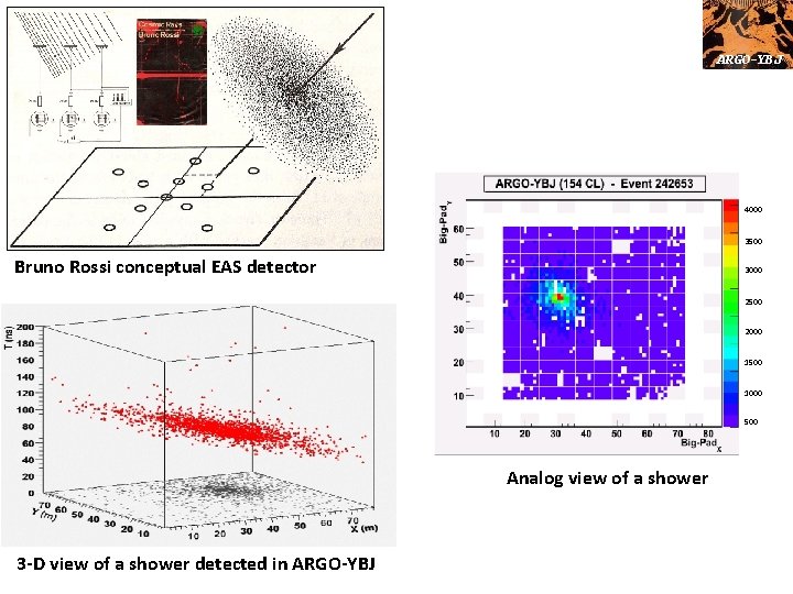 ARGO-YBJ 4000 3500 Bruno Rossi conceptual EAS detector 3000 2500 2000 1500 1000 500
