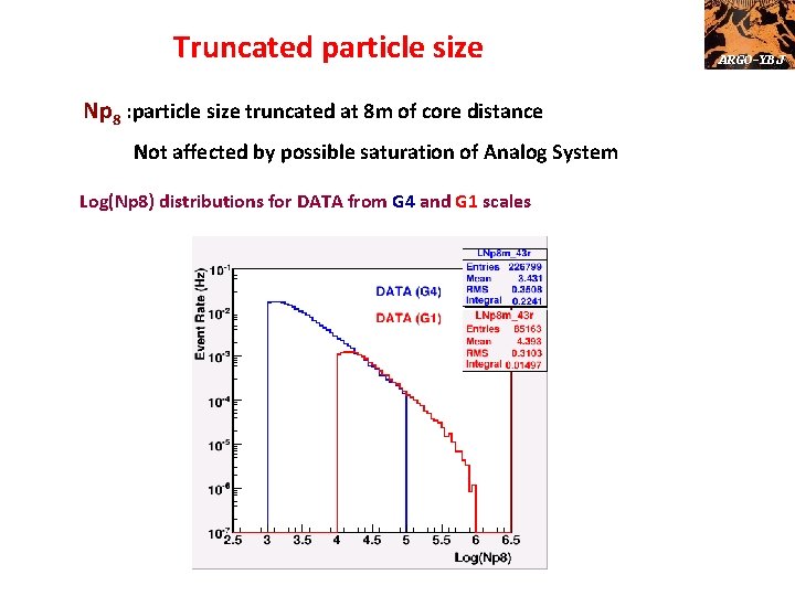 Truncated particle size Np 8 : particle size truncated at 8 m of core