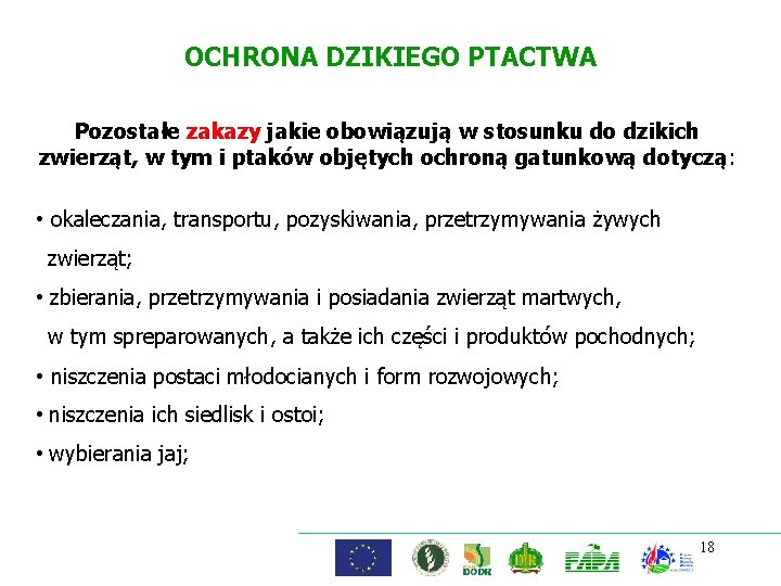 OCHRONA DZIKIEGO PTACTWA Pozostałe zakazy jakie obowiązują w stosunku do dzikich zwierząt, w tym