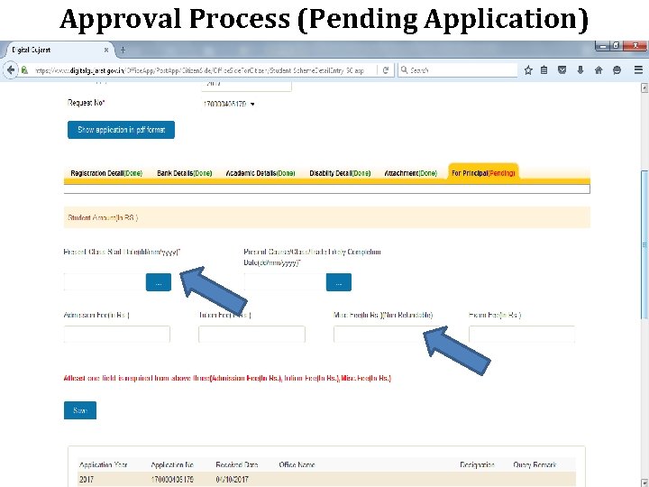 Approval Process (Pending Application) 