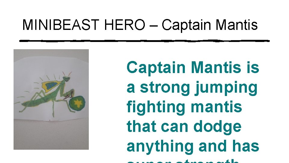 MINIBEAST HERO – Captain Mantis is a strong jumping fighting mantis that can dodge