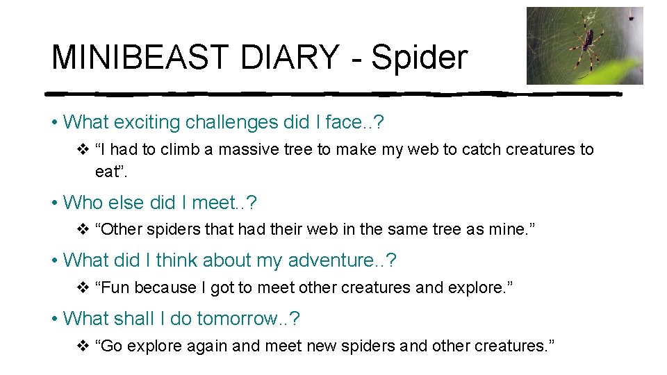 MINIBEAST DIARY - Spider • What exciting challenges did I face. . ? v