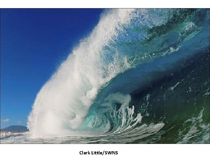 Clark Little/SWNS 