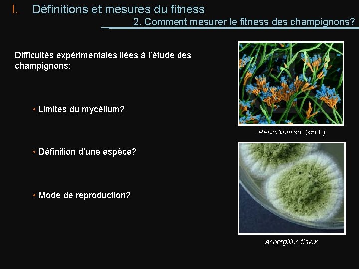 I. Définitions et mesures du fitness 2. Comment mesurer le fitness des champignons? Difficultés