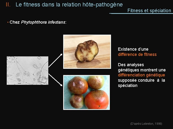 II. Le fitness dans la relation hôte-pathogène Fitness et spéciation • Chez Phytophthora infestans: