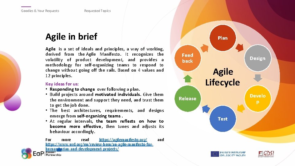 Goodies & Your Requests Requested Topics Agile in brief Plan Agile is a set