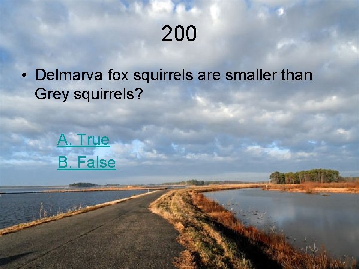 200 • Delmarva fox squirrels are smaller than Grey squirrels? A. True B. False
