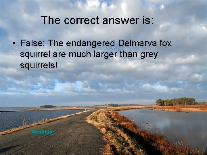 The correct answer is: • False: The endangered Delmarva fox squirrel are much larger