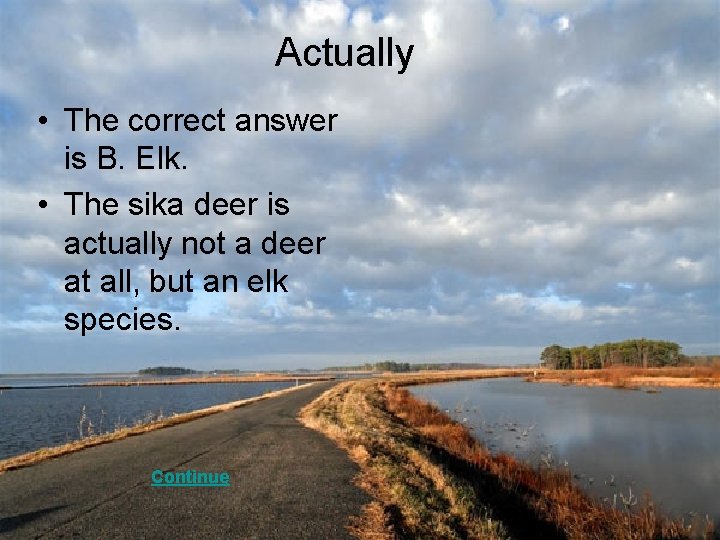 Actually • The correct answer is B. Elk. • The sika deer is actually