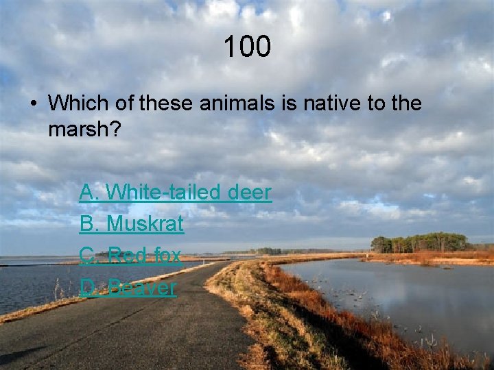 100 • Which of these animals is native to the marsh? A. White-tailed deer