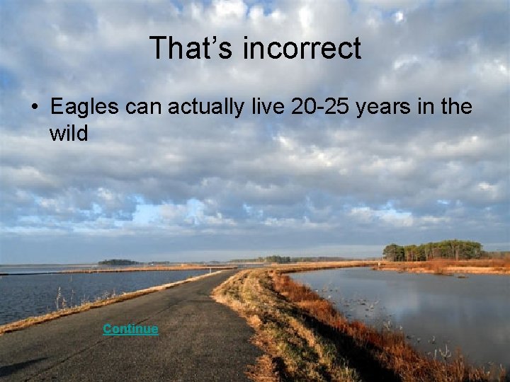 That’s incorrect • Eagles can actually live 20 -25 years in the wild Continue